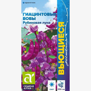 Гиацинтовые бобы Рубиновая Луна/ Семена Алтая