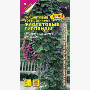 Гиацинтовые бобы Фиолетовые Гирлянды/ Аэлита