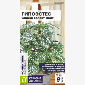 Гипоэстес Сплеш селект Вайт/Семена Алтая/цп 5 шт.