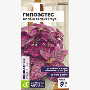 Гипоэстес Сплеш селект Роуз/Семена Алтая/цп 5 шт.