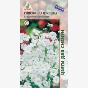 Гипсофила Снежная королева 0.3г*