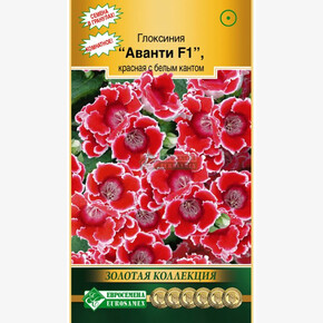 Глоксиния Аванти красная с белым кантом F1/ Евросемена
