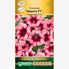 Глоксиния Аванти Персиковая роза F1/ Евросемена