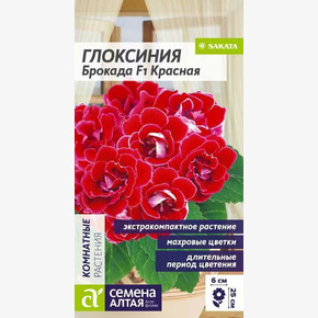 Глоксиния Брокада F1 Красная/Сем Алт/цп 5 шт.