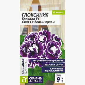 Глоксиния Брокада F1 Синяя с белым краем/Сем Алт/цп 5 шт.