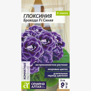 Глоксиния Брокада F1 Синяя/Сем Алт/цп 5 шт.