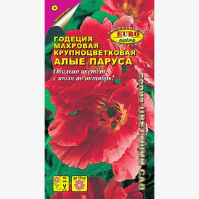 Годеция Алые паруса/ Аэлита