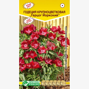Годеция ГЕРЦОГ ЙОРКСКИЙ (0,1 гр)/ Евросемена