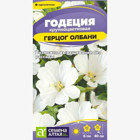 Годеция Герцог Олбани/Семена Алтая/цп 0,05 гр. (2028 / 387)