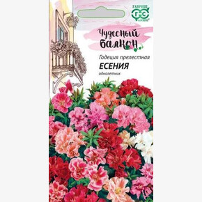 Годеция Есения/ Гавриш