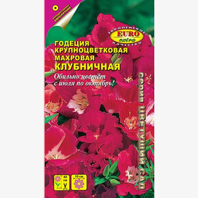 Годеция Клубничная/ Аэлита