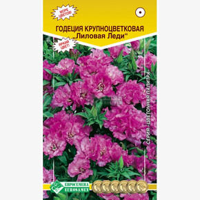 Годеция Лиловая Леди/ Евросемена