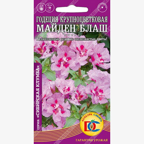 Годеция Майден Блаш / Дем Сиб/