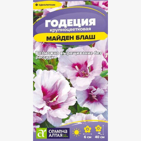 Годеция Майден Блаш/Семена Алтая/цп 0,05 гр. (2028 / 357)