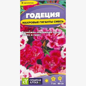 Годеция Махровые гиганты смесь/Семена Алтая/цп 0,05 гр. (2028 / 361)