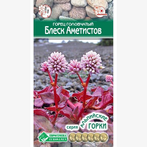 Горец БЛЕСК АМЕТИСТОВ (0,1 гр)/ Евросемена