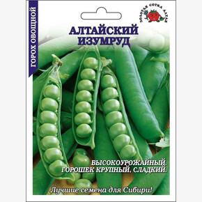 Горох Алтайский изумруд/ Сотка