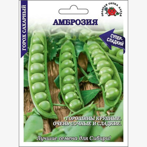 Горох Амброзия БОЛЬШОЙ /Сотка/ 25г/ раннесп. 50-70см 7-8см/*120