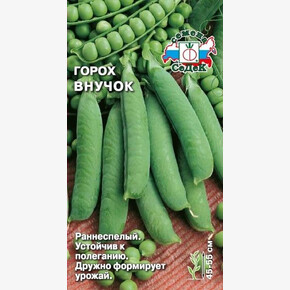 Горох Внучок/ Седек