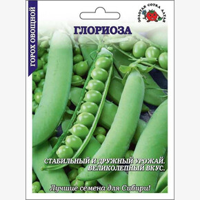 Горох Глориоза /Сотка/ 25г/ БОЛЬШОЙ раннесп. мозг. 60-70см/*100
