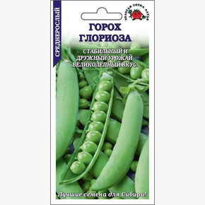Горох Глориоза/ Сотка