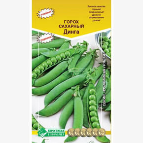 Горох Динга/ Евросемена