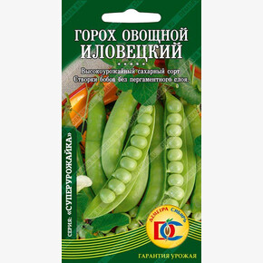 горох Иловецкий /5 гр Деметра/