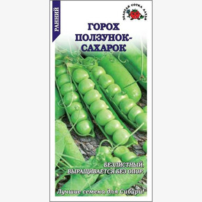 Горох Ползунок-Сахарок/ Сотка