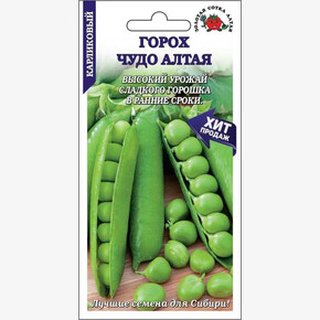 Горох Чудо Алтая /Сотка