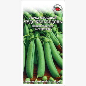 Горох Чудо Кельведона / Семена Алтая