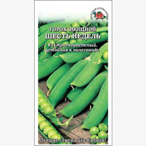 Горох Шесть Недель/ Сотка
