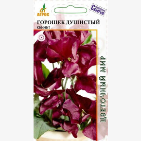 Горошек душистый Кеннет 1г*