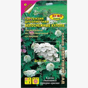 Гортензия Белоснежные купола 0,005г/ Аэлита Экстра