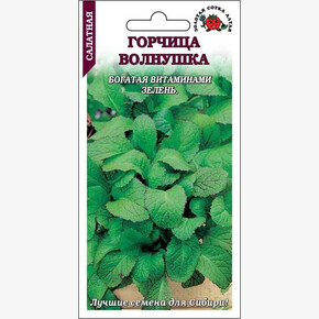 Горчица Волнушка/ Сотка