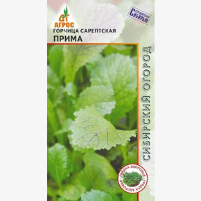 горчица Прима