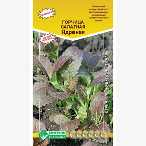 Горчица ЯДРЕНАЯ (1гр)/ Евросемена