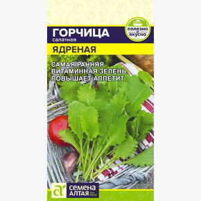 Горчица Ядреная/ Семена Алтая 0,5 гр.