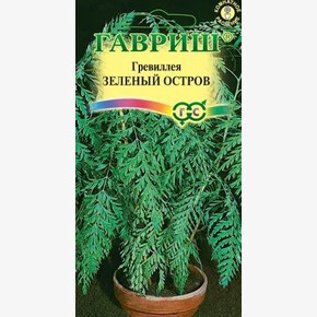 Гревиллея Зеленый Остров/ Гавриш