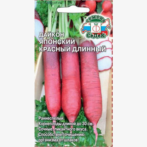 Дайкон Красный Длинный/ Седек