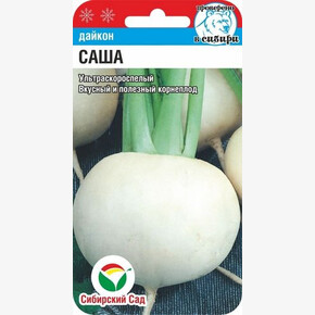 Дайкон Саша 1г Сиб Сад