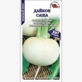 Дайкон Саша/ Сотка