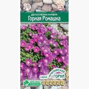 Делосперма ГОРНАЯ РОМАШКА (8 шт)/ Евросемена