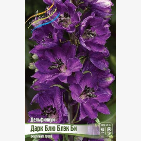 ДЕЛЬФИНИУМ ДАРК БЛЮ БЛЭК БИ