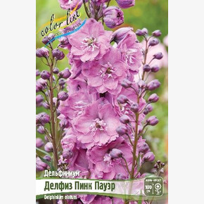 ДЕЛЬФИНИУМ ДЕЛФИЗ ПИНК ПАУЭР