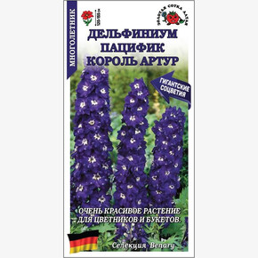 Дельфиниум Пацифик Король Артур /Сотка/ 7 шт