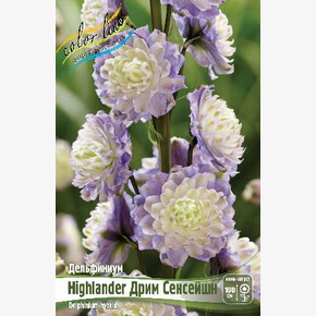 ДЕЛЬФИНИУМ HIGHLANDER ДРИМ СЕНСЕЙШН