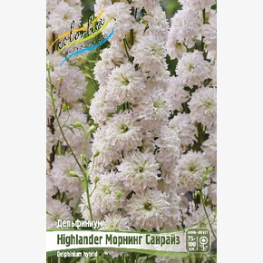 ДЕЛЬФИНИУМ HIGHLANDER МОРНИНГ САНРАЙЗ