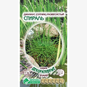 Джункус СПИРАЛЬ (5 шт)/ Евросемена