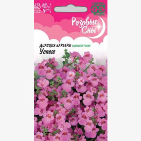 Диасция Успех/Гавриш/цп 0,01 г. Розовые сны
