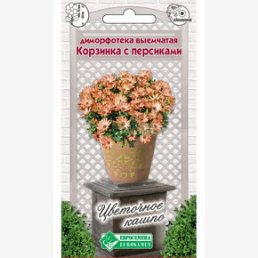Диморфотека Корзинка с персиками/ Евросемена